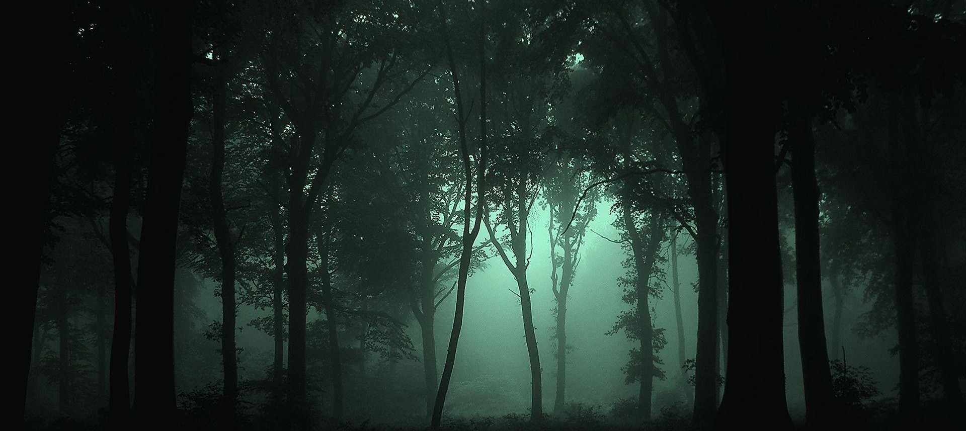 header_banner_image
